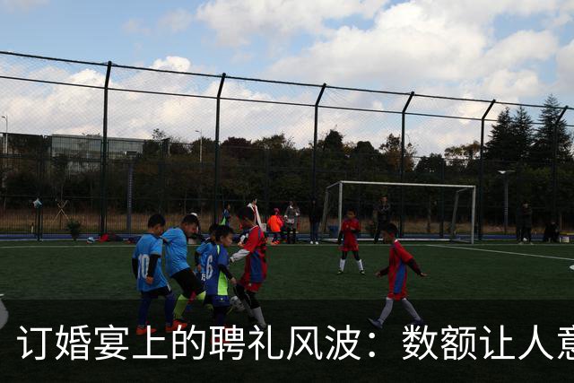 订婚宴上的聘礼风波：数额让人意外，我母亲的反击